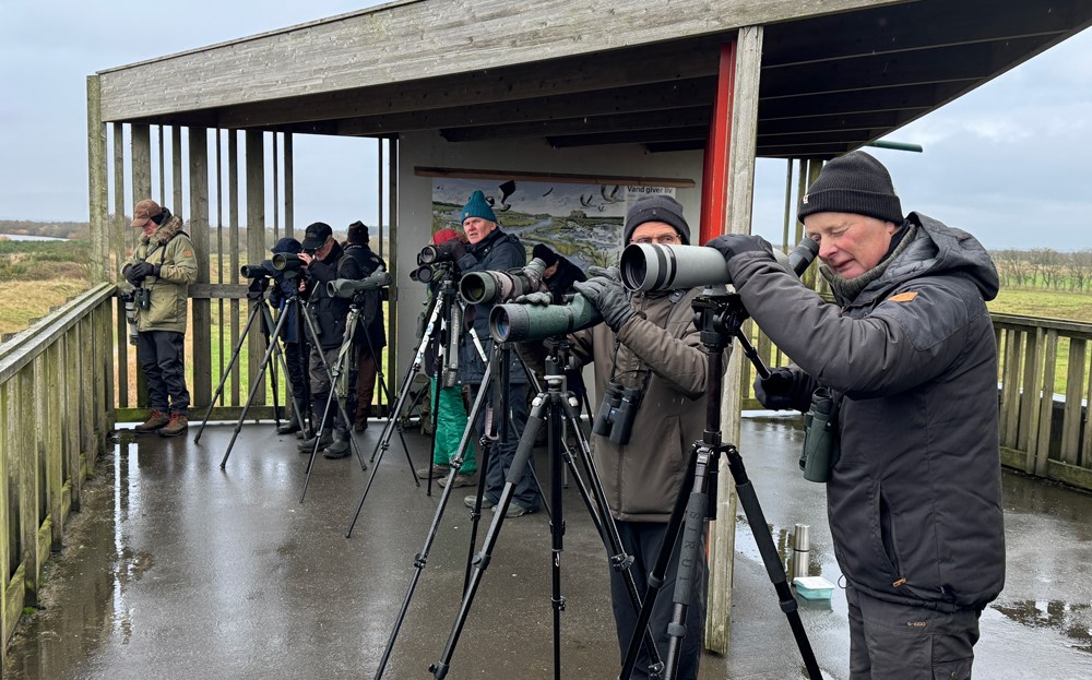 SkjernEnge 20251125 1