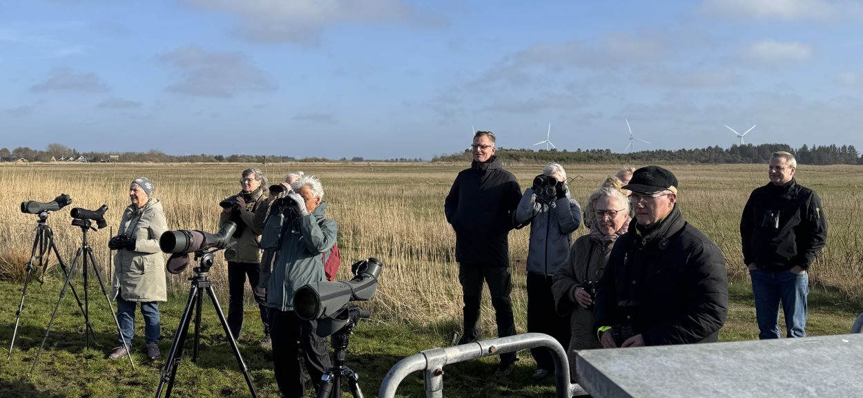 Vaernengene 20260423 OleAmstrup